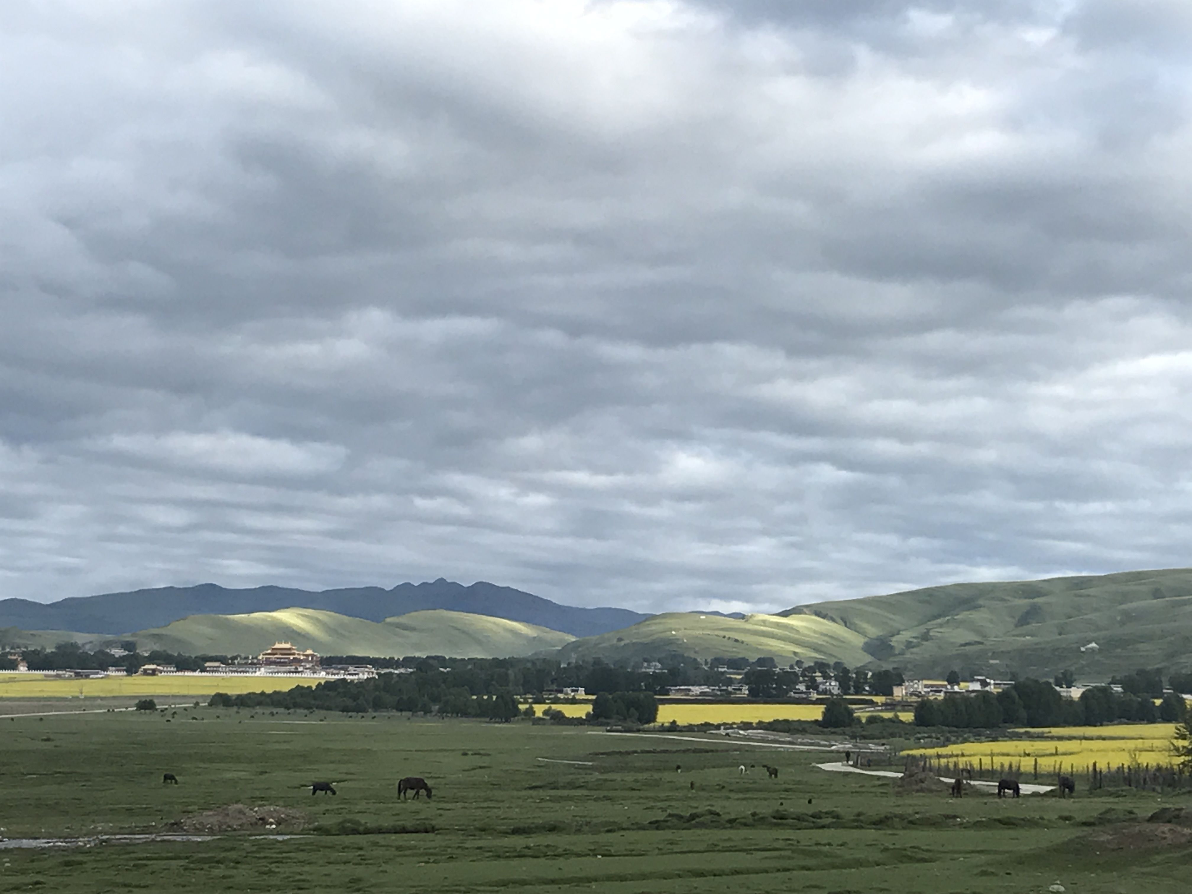 草坪|川西自驾游，美景看不够