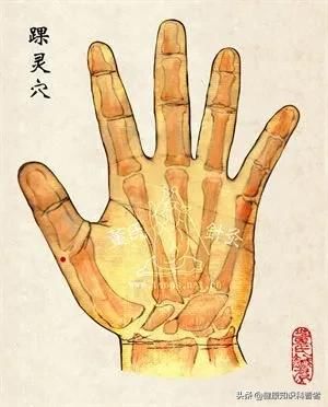 后溪穴|治疗踝关节扭伤的董氏奇穴～踝灵穴