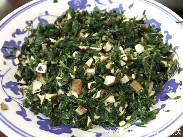 农村常见的野菜,殊不知营养价值很高,见到采摘一些味道堪比山珍