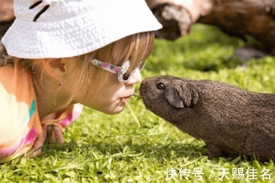冷门|2021年女宝宝起名改名:怎么样取个冷门好听的女孩名字呢?