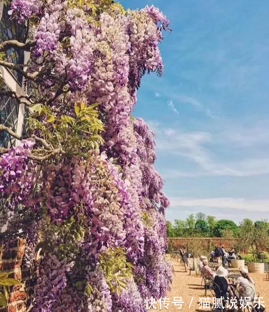 这9种花园,随便1个都美上天了,有一种这辈子就满足了!