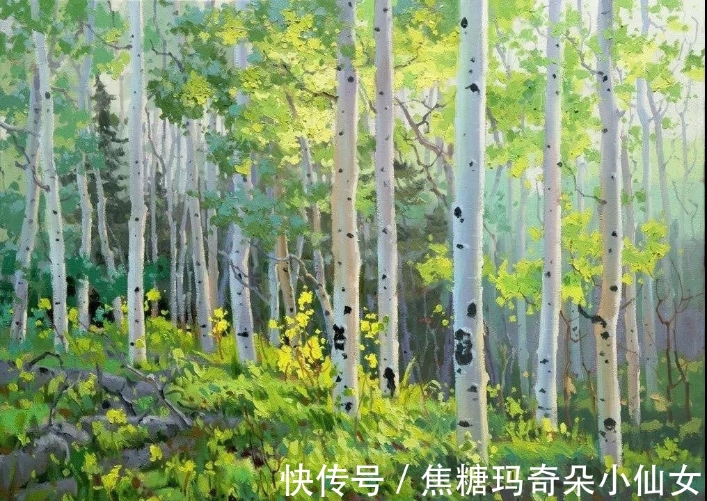 美国肖像协会!白桦林之美