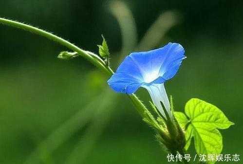 保持沉默|这三种事,烂在肚子里也不能与别人交流,避免惹祸