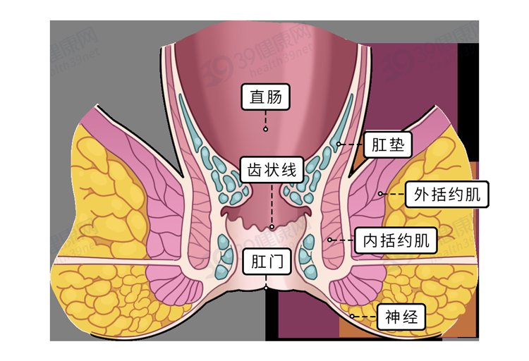 med|保护肛门有多重要？每天清洗肛门可以预防疾病？到底怎么回事？