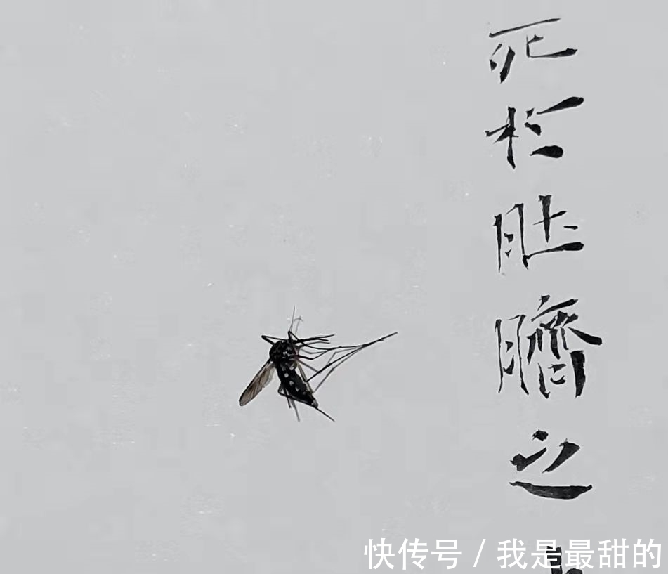 颜楷$为何露锋才是颜楷最真实的笔法?