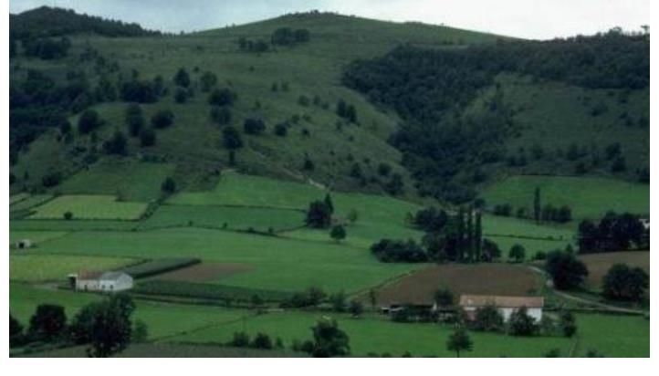 老祖宗@俗语:“虎到中堂,家败人亡”,是什么意思?千万别不当回事