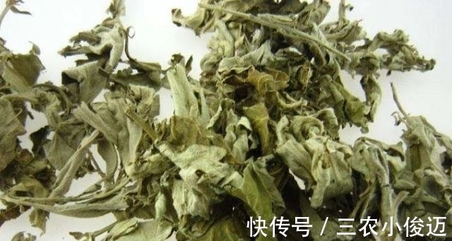 艾条熏灸|农村有一种野草,专门为“腰间盘突出”而生的,城里人买不到