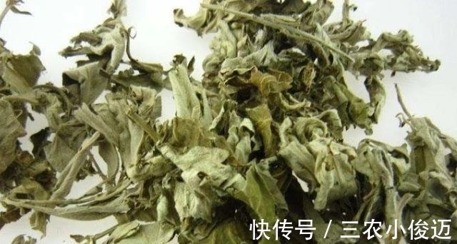 艾条熏灸|农村有一种野草，专门为“腰间盘突出”而生的，城里人买不到