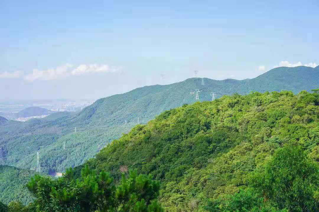 中国医师节|【医路有您 · 山河无恙】今天请脱下白袍，走进东莞观音山，这次换我们来为您服务！