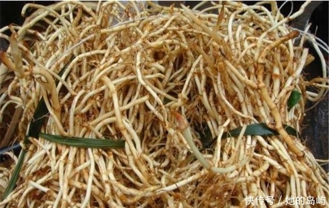 野草|农村这些植物野草，以前拿来当菜吃，如今很多年轻人都没见过！