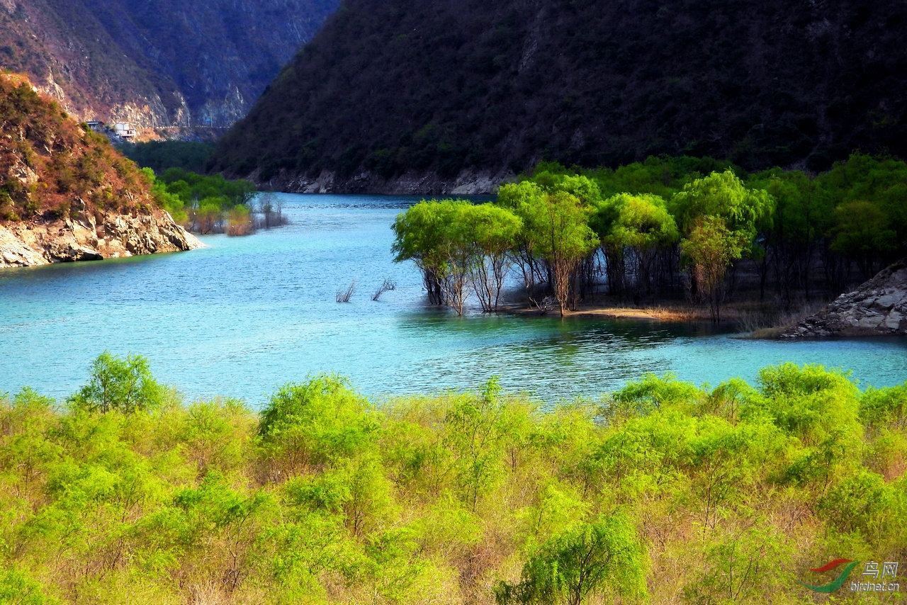 俗语|俗语“两腮无肉不可交”,其实后半句才是精华,读后学到了很多