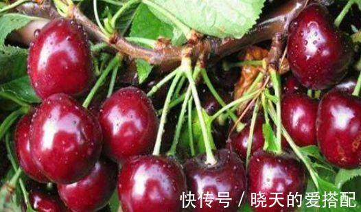 常吃|女性想要身体好,常吃的食物,抗菌消炎、增进消化、增强免疫力