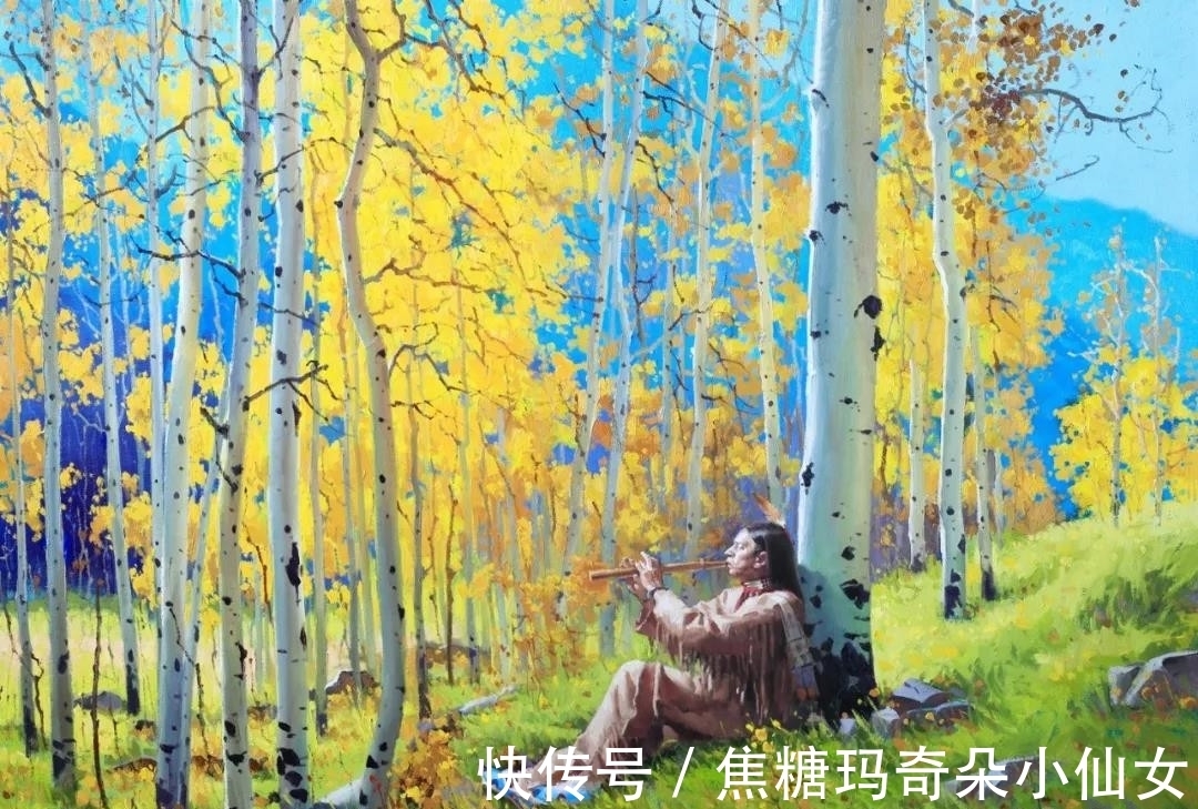 美国肖像协会!白桦林之美