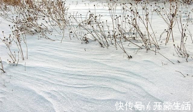 大雪节气到,“2红2绿”食材别忘吃,营养充足,助全家顺利过冬