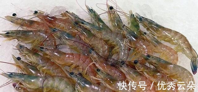 冻干|水产品冻干技术,制作即食脆虾仁冻干生产工艺流程!