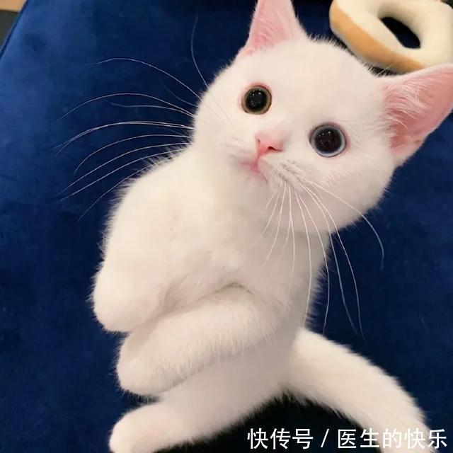 |「被窝段子20210727」生活没有低谷,只有蓄势待发