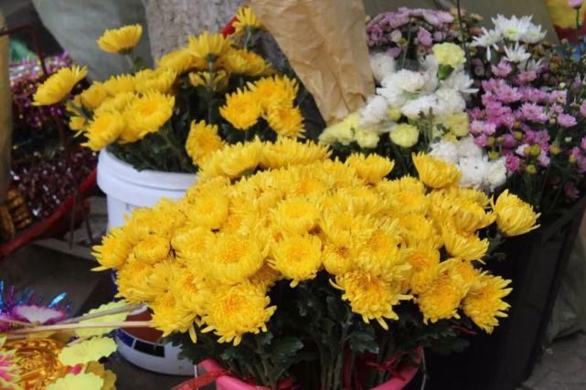 清明雨上，折菊寄相思