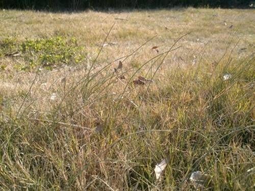 孩子|7岁女儿“失踪”,妈妈寻找半天未果,爸爸只花了10分钟