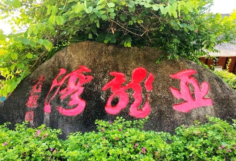 热带雨林|不一样的热带雨林，不一样的美丽风景——游亚龙湾热带天堂森林公园