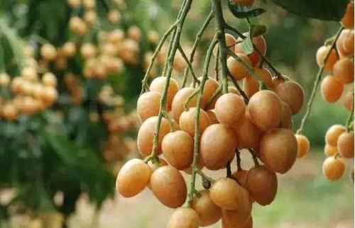 好處|女性到了中年推薦常吃3種食物,排毒養(yǎng)顏,營養(yǎng)瘦身,好處多多