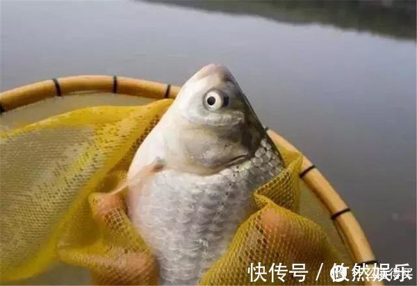 饵料|蚯蚓被誉为“万能饵料”,这些细节却常被忽略,爱钓鱼的你别错过