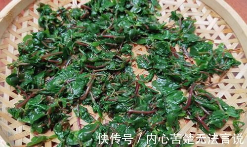 城里人|这菜新鲜的不值钱，晒干变抢手货，30块钱1斤，城里人想吃买不到