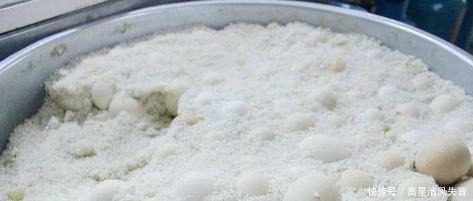 蛋壳|婆婆把5斤鲜鸡蛋直接埋在盐里，一家人都不明白