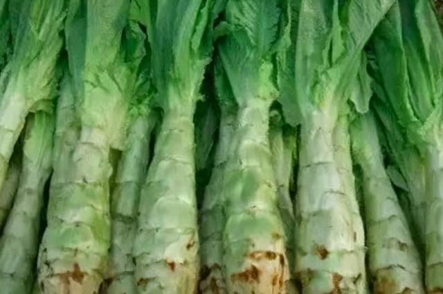 爽口|这才是莴笋最好吃的做法,脆嫩爽口,开胃下饭,赛过大鱼大肉