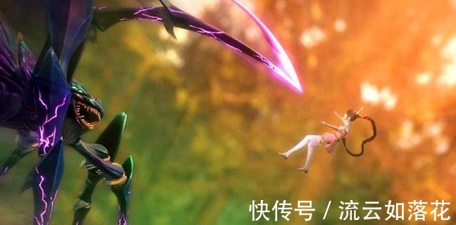 唐三|斗罗大陆唐三又杀人面魔蛛真惨!三哥竟将人面魔蛛满门抄斩!