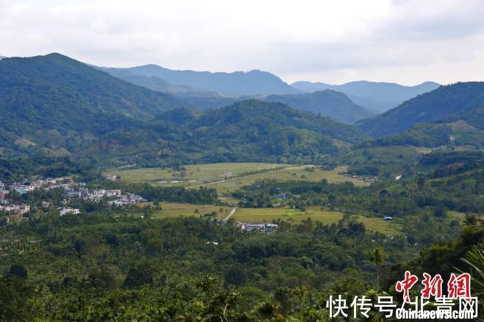 新冠肺炎|海南黎乡大里：植入“旅游基因”端稳“旅游饭碗”