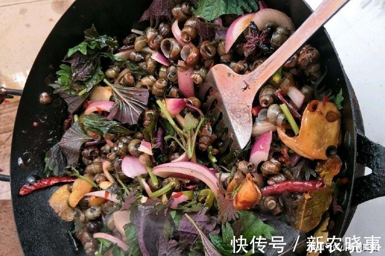 叶子|农村里一种野草,制作泡菜是一绝,在韩国成7000元一斤“奢侈品”