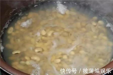 养虎皮兰时,盆里加2种东西,30天钻出钢芽,侧芽嗖嗖