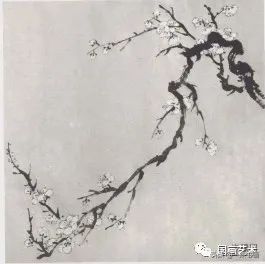 梅花$分享几组写意梅花创作示范
