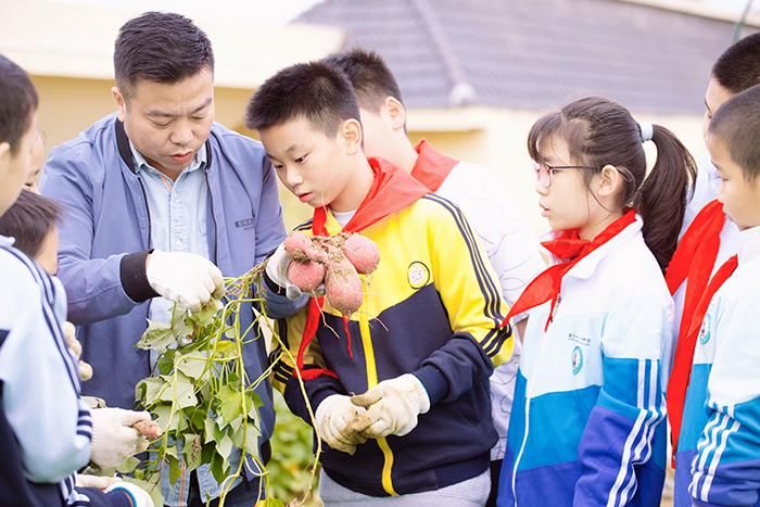 合肥一六八玫瑰园学校|减负不减爱，玫瑰园里笑颜开