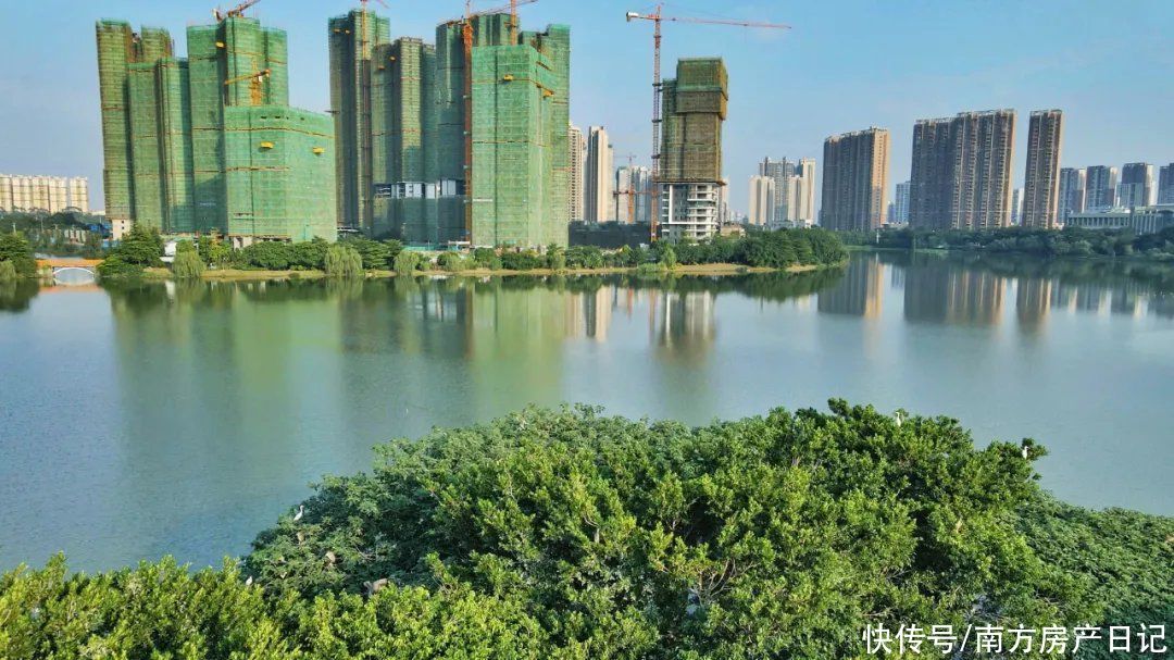 楼盘|买房 是件很纠结 很累的事 你买房花了多少时间呢
