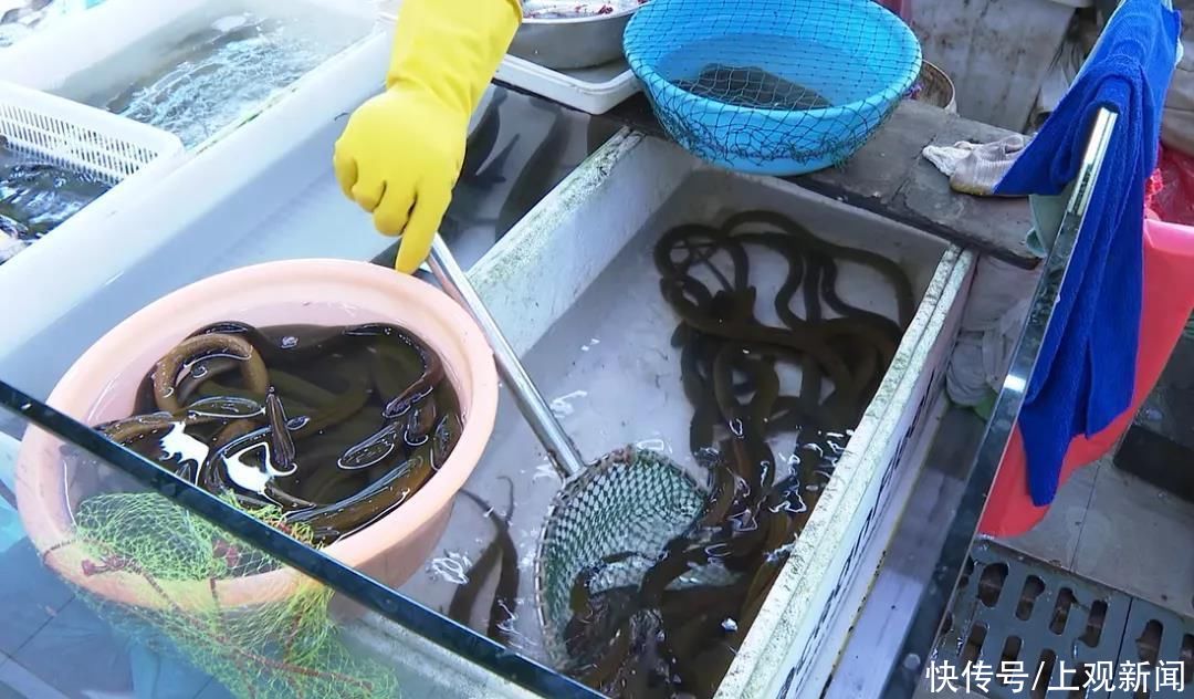 食材|盛夏吃些啥？这些消暑祛湿食材迎来热销