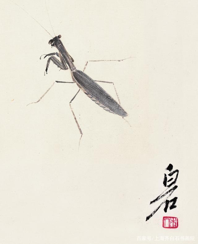 书画社|齐白石担心老后受视力限制,齐白石传人书画社-少白汤发周说,他就预先画了一批工虫