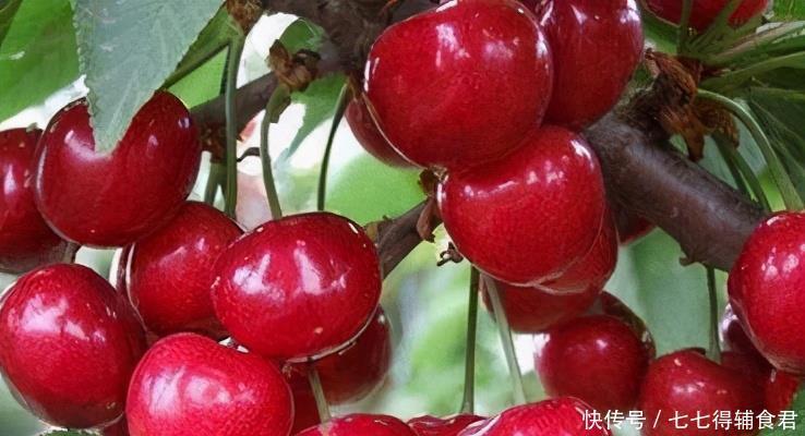 棒棒|想长寿全靠吃,3种食物不错过,美容养颜,身体棒棒哒!