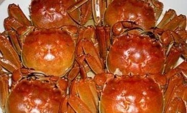 10道家常菜,总有一款适合您,详细步骤都在这里,赶快学学吧