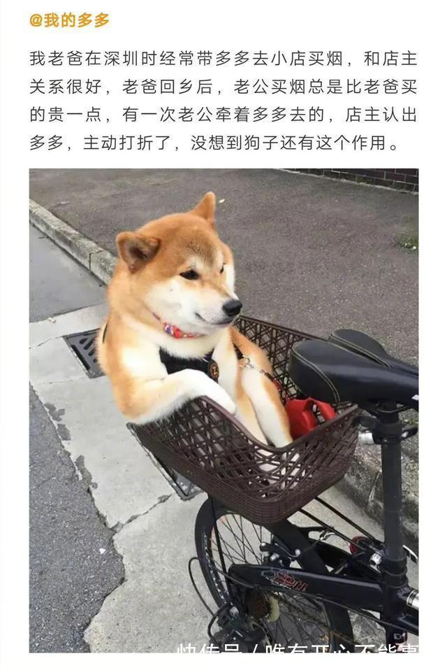 |这也太搞笑了吧