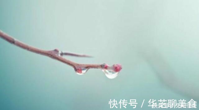 草色#王维劝朋友加餐,竟也能成千古绝唱,短短几句安慰了多少失意人