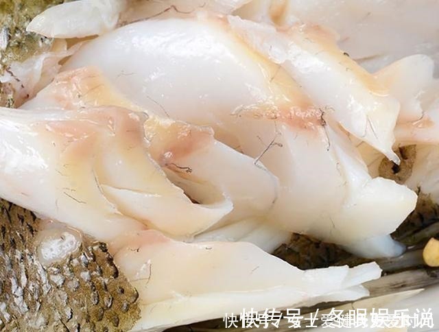 渔民|都是鲈鱼,海鲈鱼和淡水鲈鱼有何不同老渔民区别大了,别买错