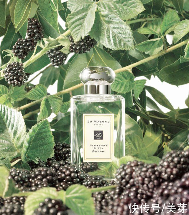 “渣女香”火了！这15款神仙香水，贼上头