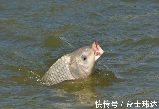 技巧|钓鱼时“压线”有技巧,关于它的原理跟作用,你明白吗