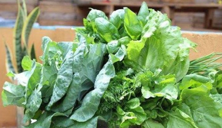 羡慕别人不生病，冬天多吃3种食物，增强抵抗力，身体更健康