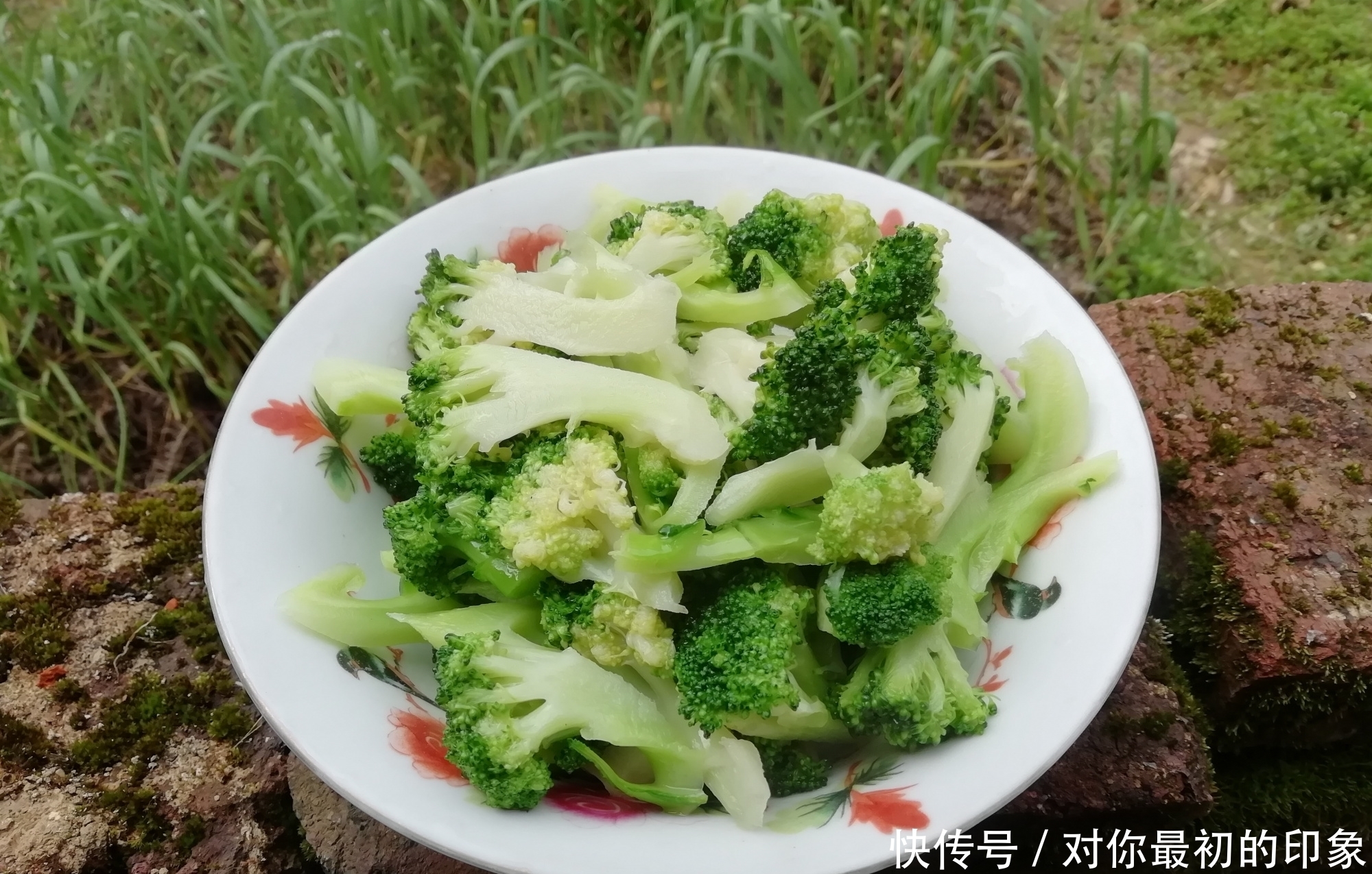 江西母子三人的午餐，在朋友圈火了，好吃接地气，不需要假精致