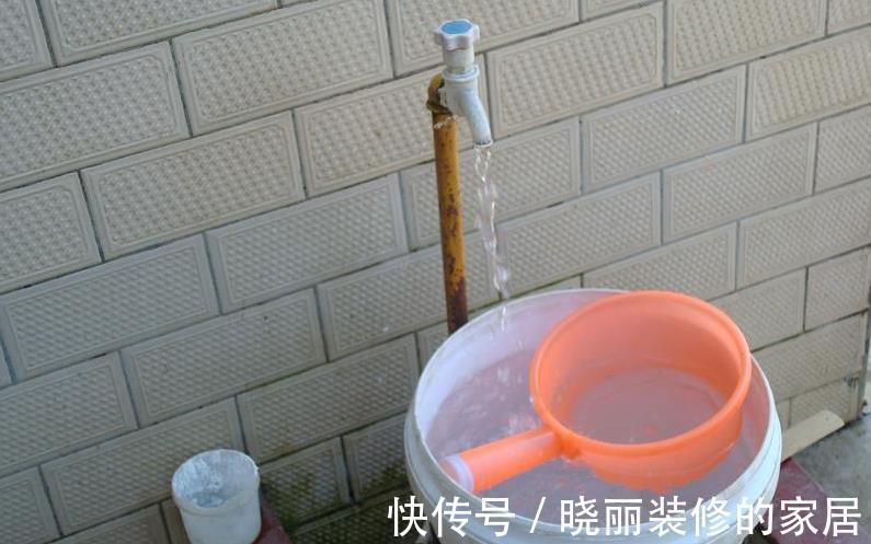 养花|养花浇水是门学问,不讲究迟早要吃大亏,别再随意用了