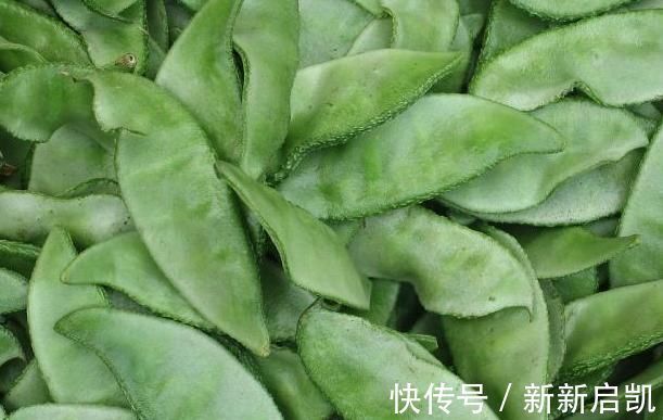 干黑木耳|经常告诉我们要多吃蔬菜,但忘了提醒,四种常见蔬菜是不能吃!