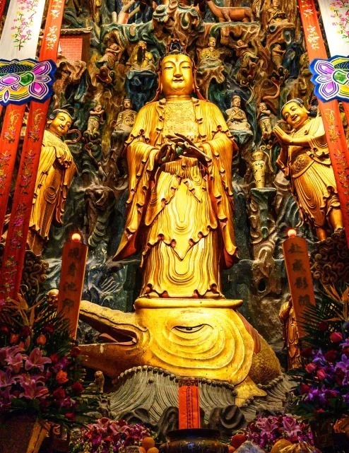 爱别离|梦参老和尚丨千万别求舒服,太舒服了不长寿