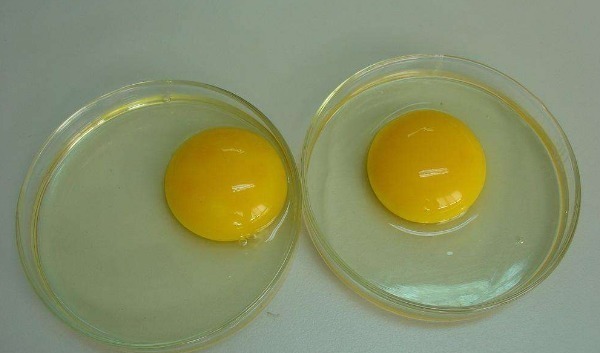 化学物质|鸡蛋好处千千万,当心吃错会完蛋,有4个误区要避开,早知早好!